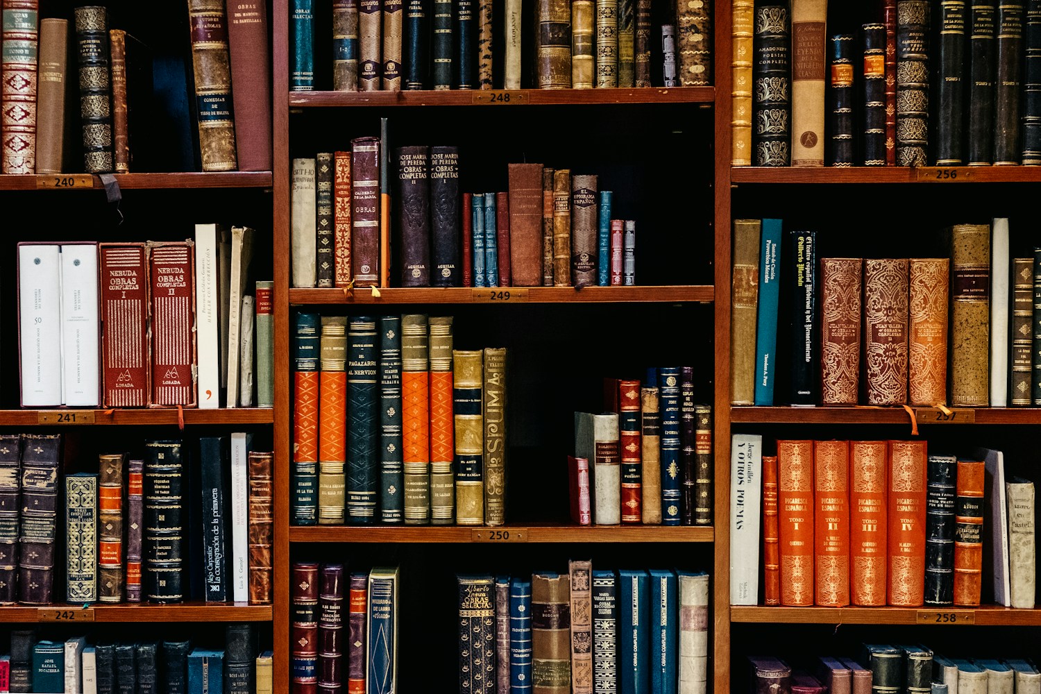 Reader browsing a bright library aisle