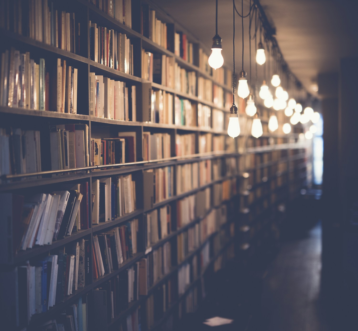 Photographic editorial library scene for global multilingual reading and audiobook access