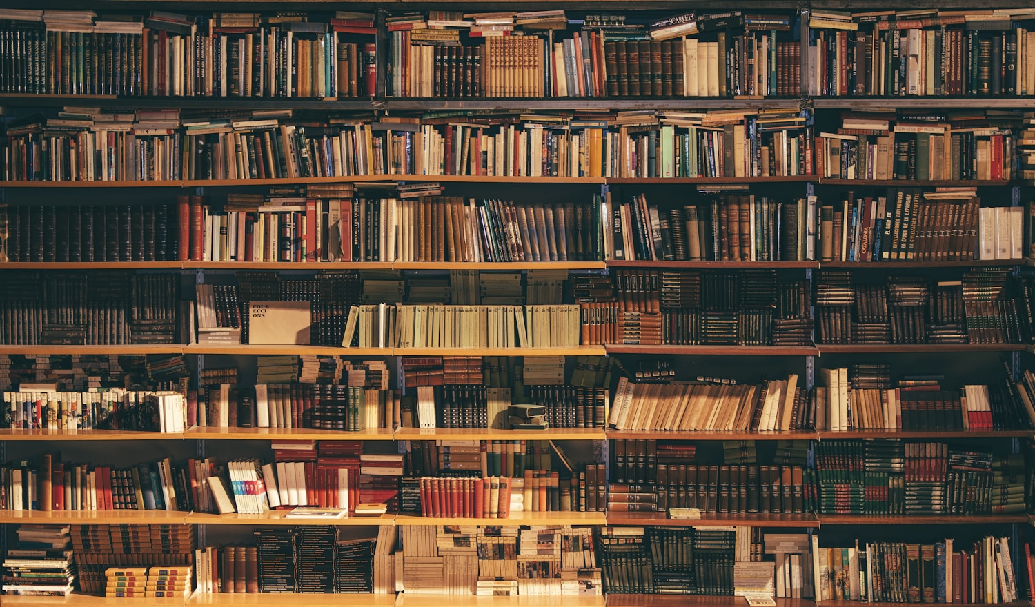 Grand library shelves with warm bookstore lighting